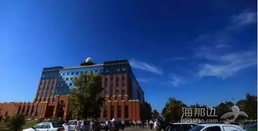 8.png