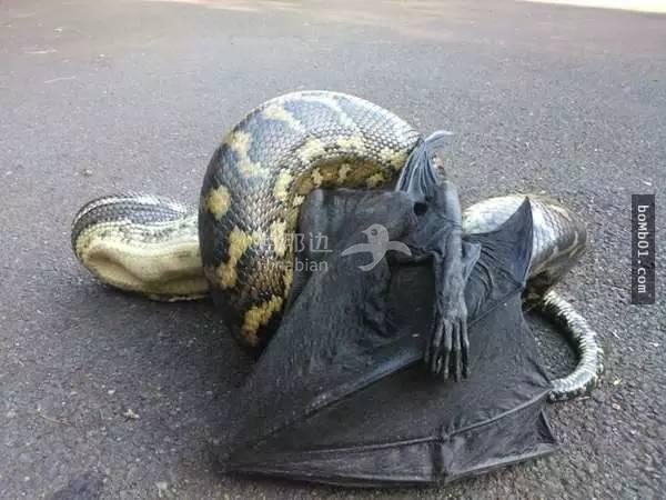 ..