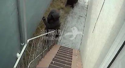 ..