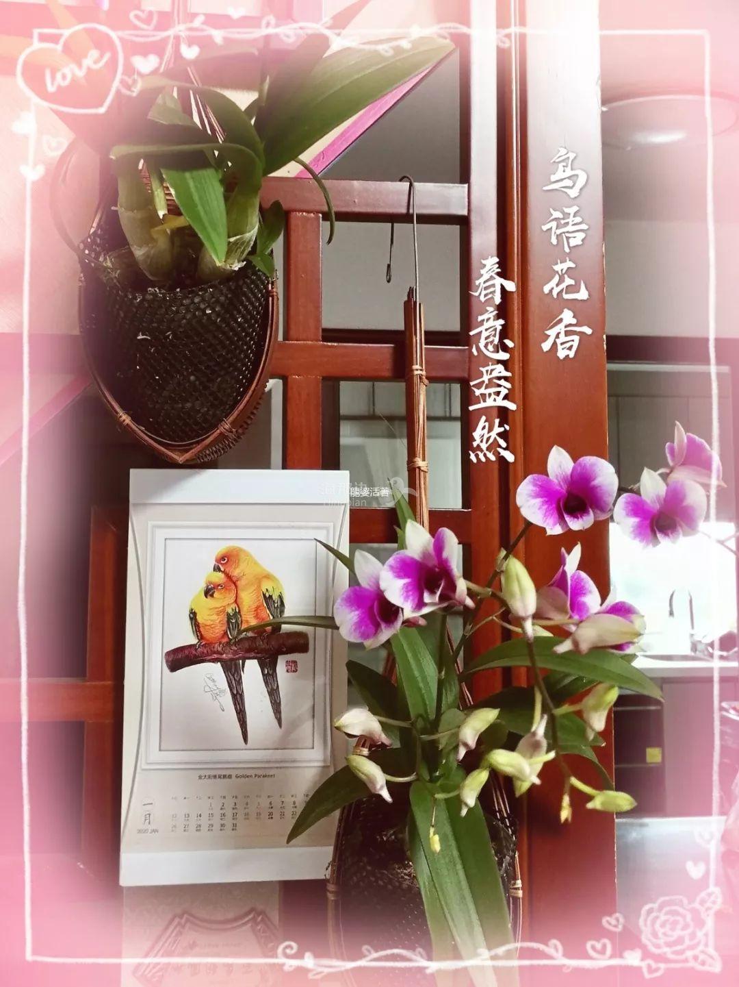 家居6.jpeg ..