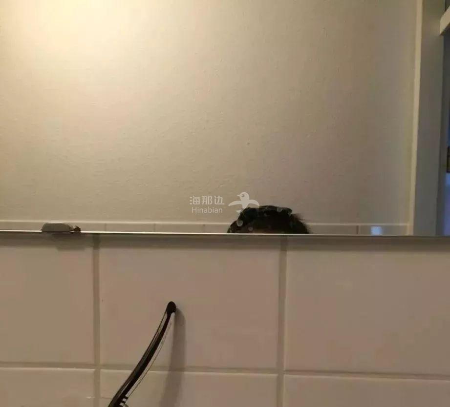 ..