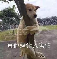 ..