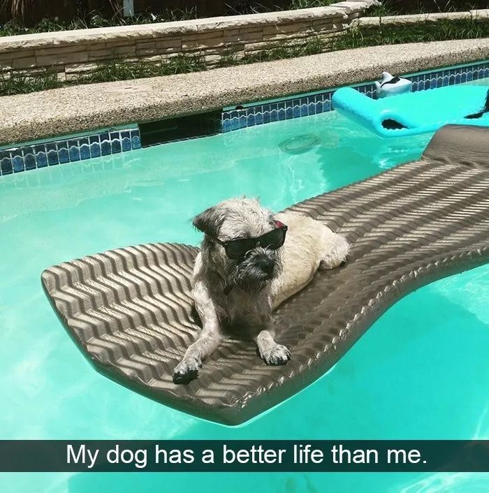 ..