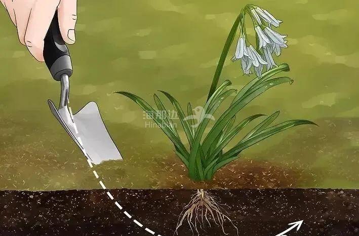 ..