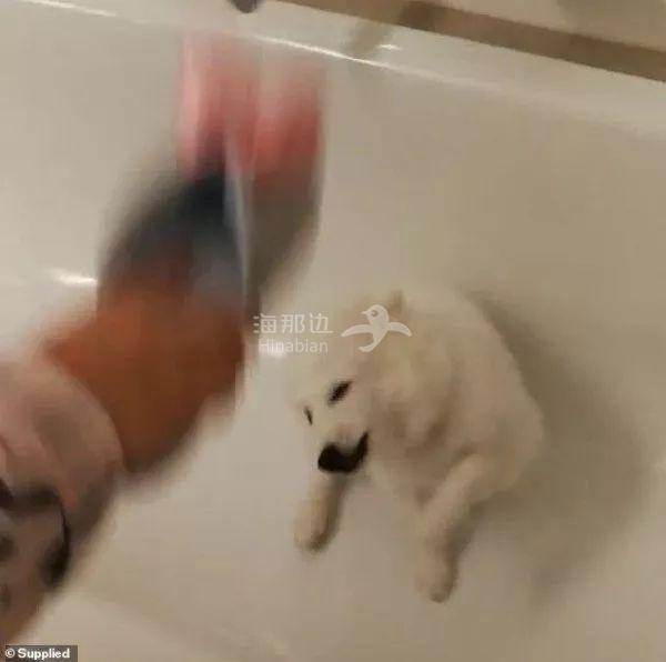 ..