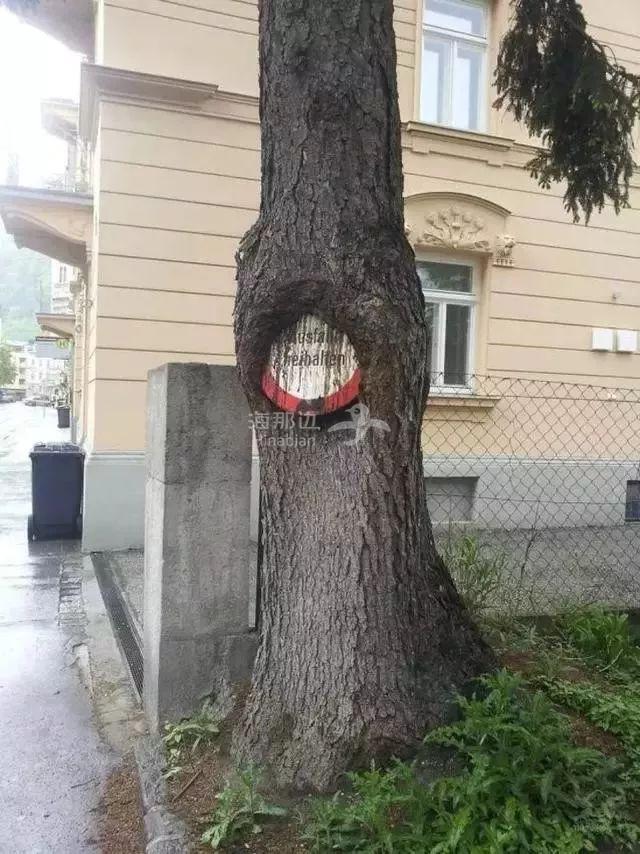 ..