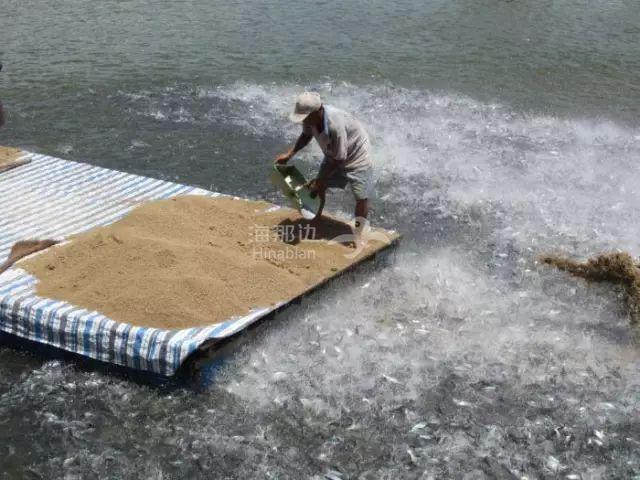 ..