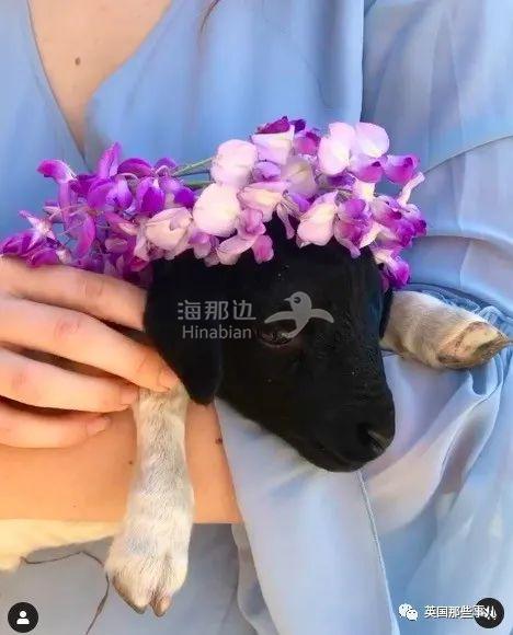 截屏2021-03-19 下午7.25.43.jpg ..