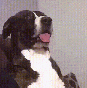 ..