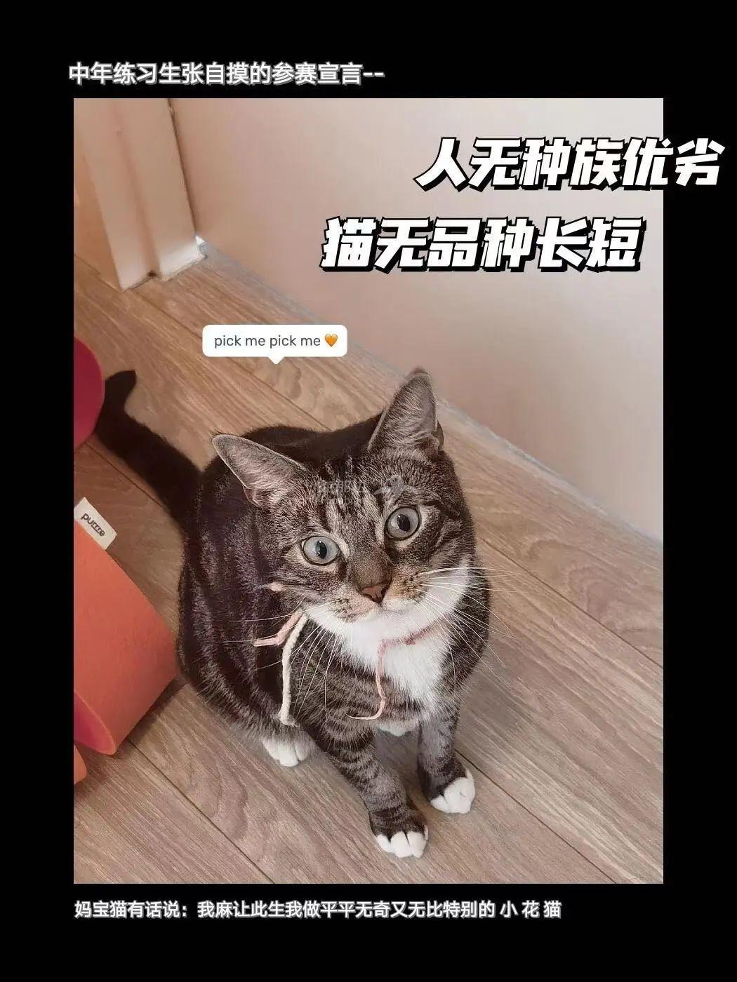 ..