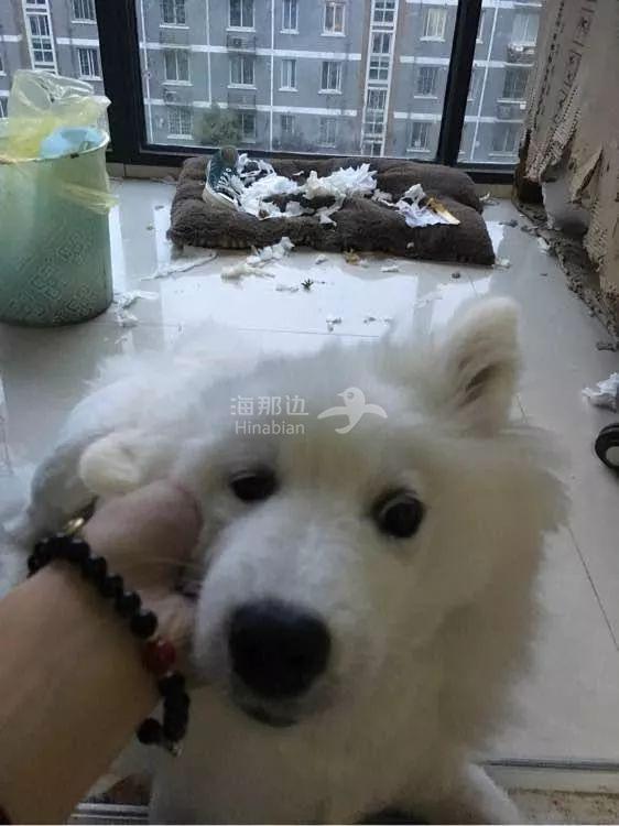 ..