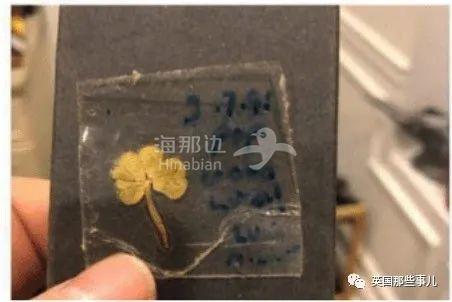 截屏2021-02-11 下午2.32.20.jpg ..
