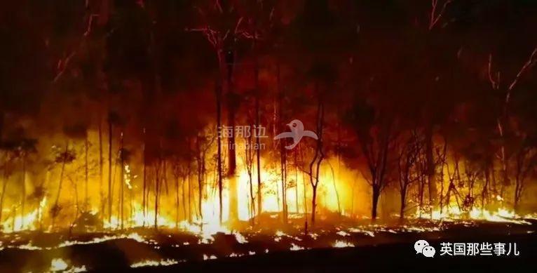 截屏2021-03-19 下午7.16.54.jpg ..