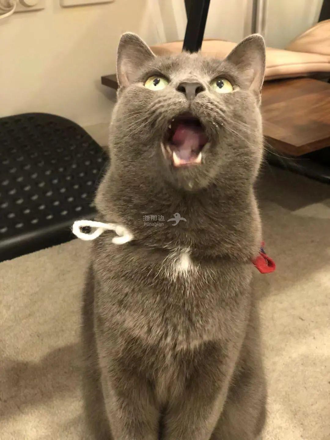 ..