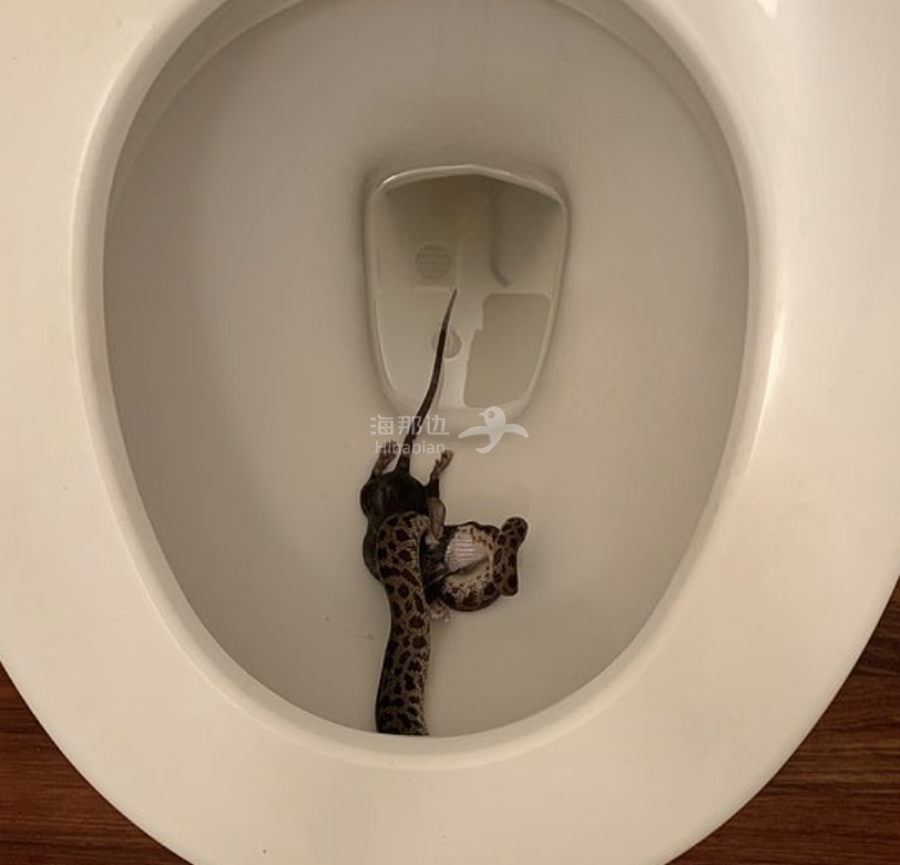..