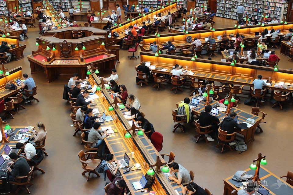 库, 拉筹伯, 研究, 学生, 行, 学习, 人, 留学生, 大学生学习, 坐, 办公桌, 教育, 大学