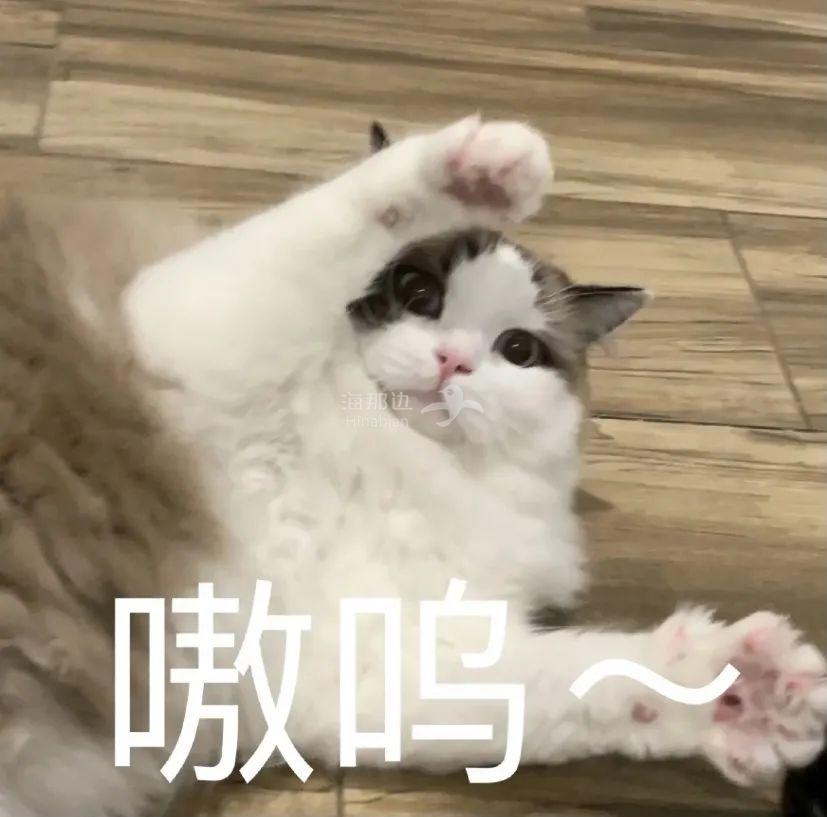 ..