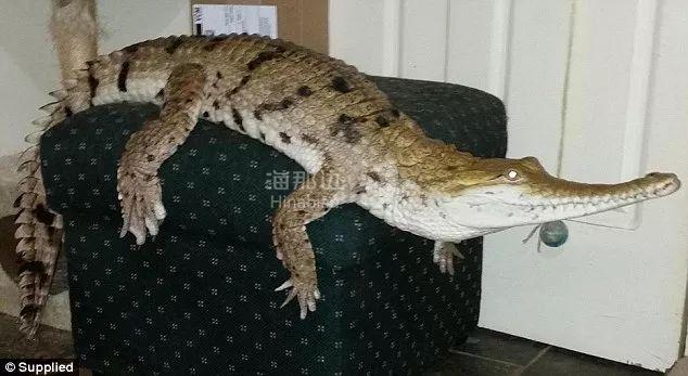 ..