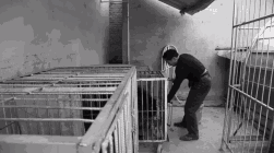 ..
