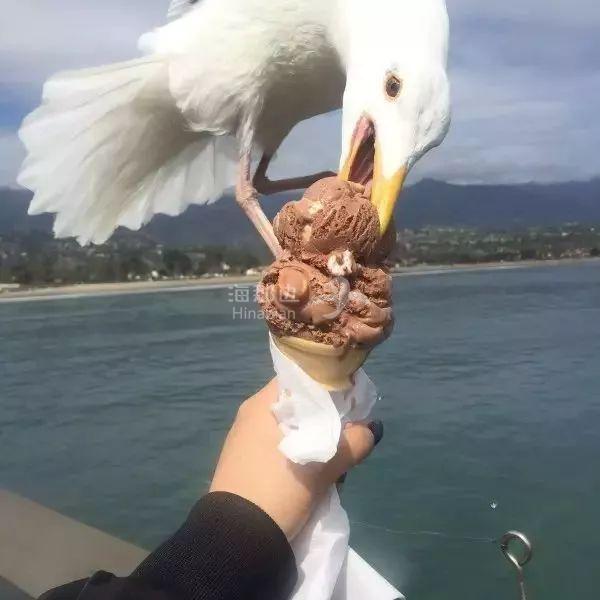 ..