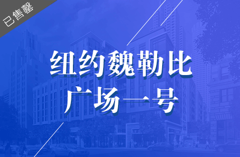 项目
