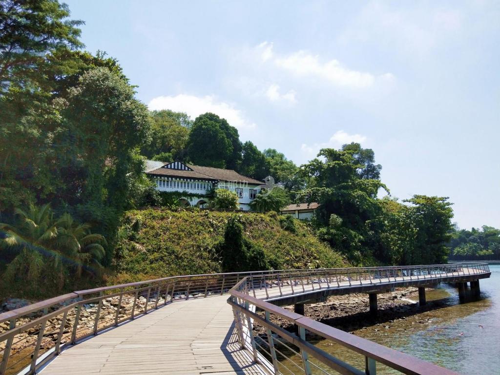 IMG20190318113544_副本-1.jpg