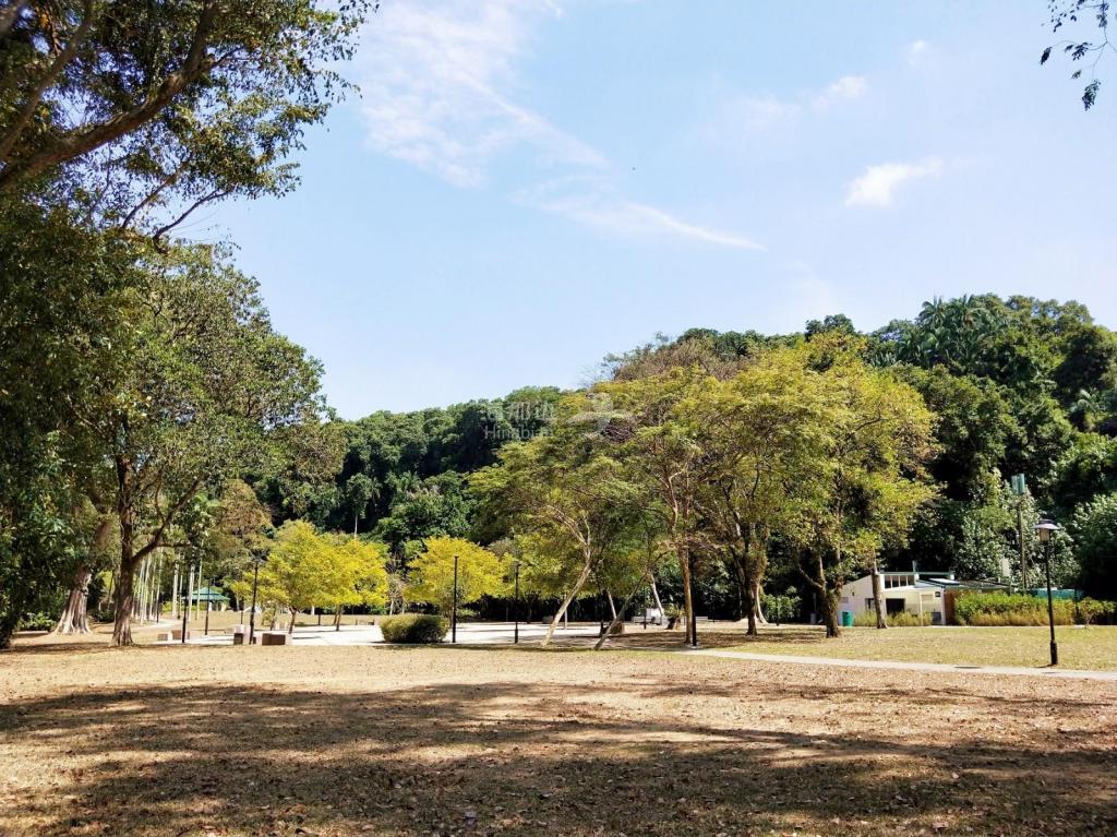 IMG20190318110908_副本-1.jpg