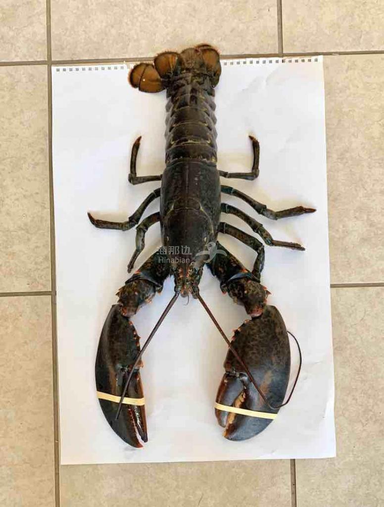 ..
