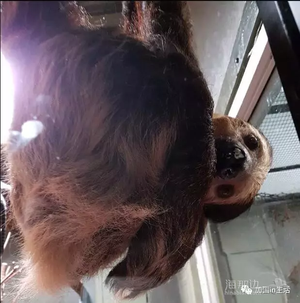 ..