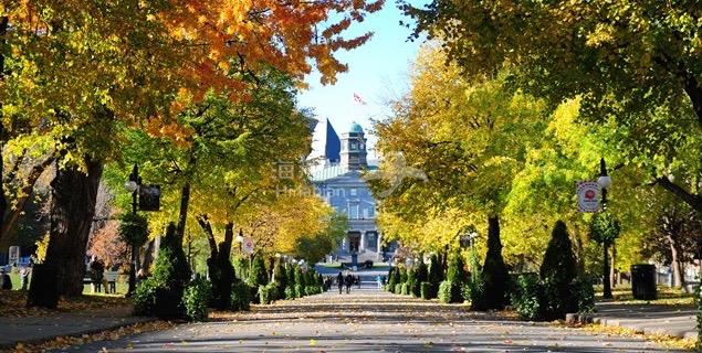 McGill images 4.jpg